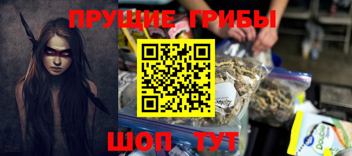 Сосновый Бор  Галлюциногенные грибы ЛСД  Вход с VPN  Псилоцибиновые грибы мицелий 