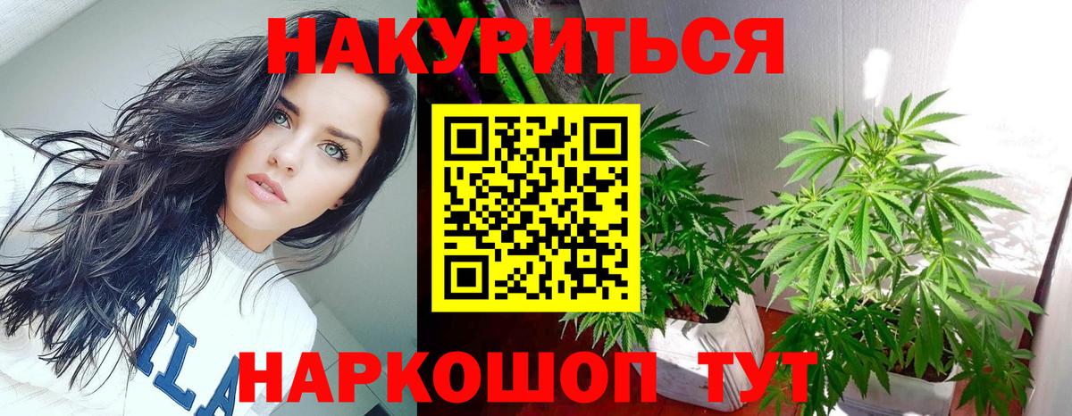 Сосновый Бор  Бошки Шишки SATIVA & INDICA  Вход с VPN  Конопля Amnesia 